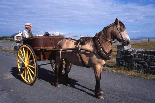 Aran Islands Holiday