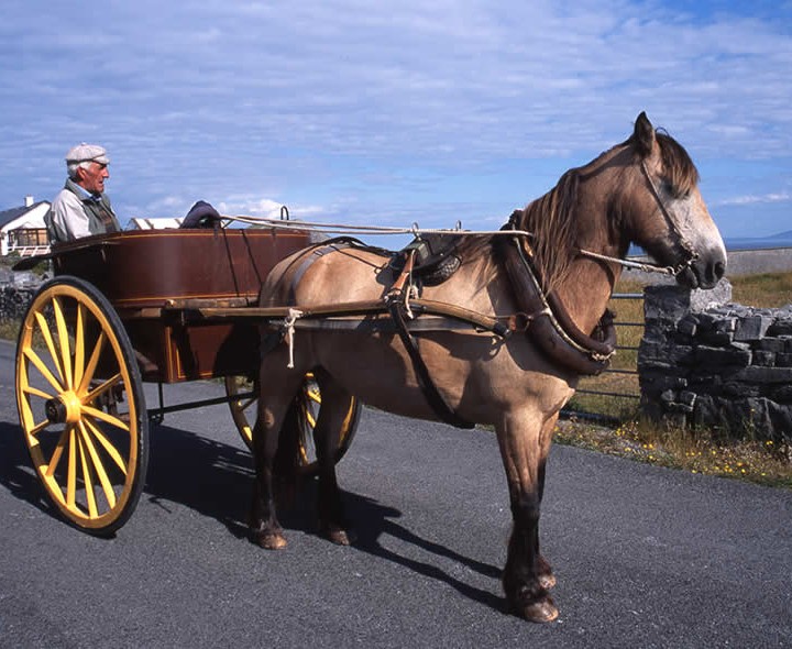 Aran Islands Holiday