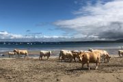 Sligo beach