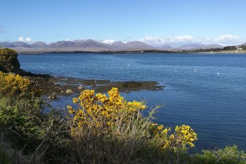 Connemara Roundstone