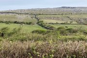 Burren