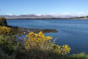 Roundstone