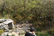 Holy well Burren