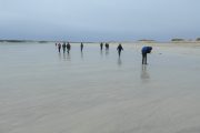 Roundstone beach